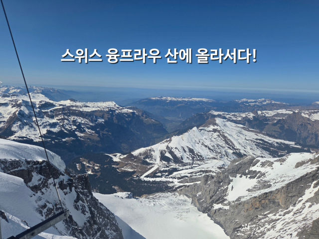유럽의 지붕에 올라서면 🏔️🗻