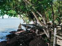 paklad cafe and seafood