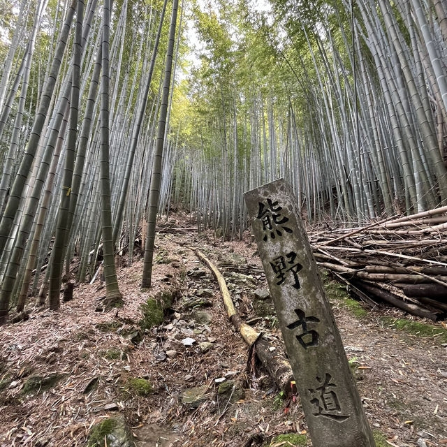 🇯🇵【熊野古道】紀伊路　世界遺産🌎
