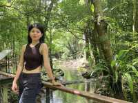 คุณคือภูพิชิตน้ำตกเอราวัณ: สวรรค์สองสไตล์ 🌳🌿