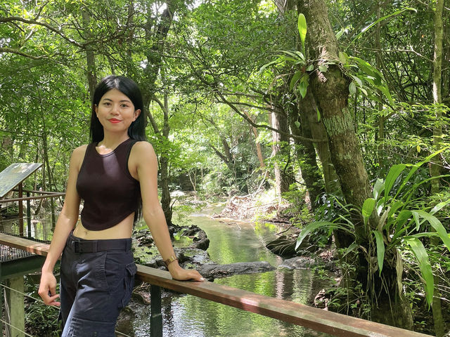 คุณคือภูพิชิตน้ำตกเอราวัณ: สวรรค์สองสไตล์ 🌳🌿