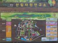 🌲 나주 산림자원연구소, 자연 속에서의 로맨틱한 산책