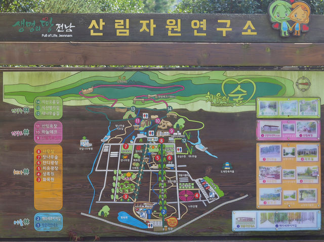 🌲 나주 산림자원연구소, 자연 속에서의 로맨틱한 산책