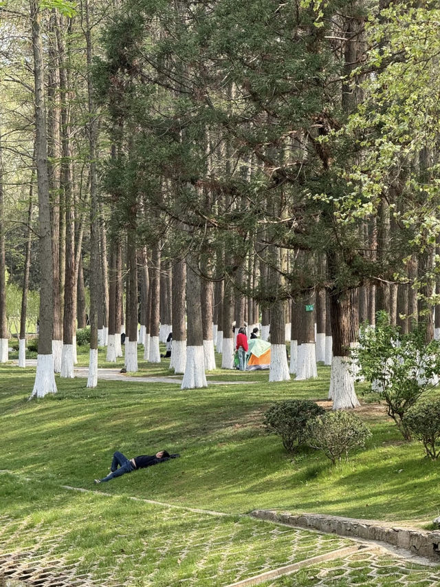 Wuhan Hidden Gem: Jiefang Park — I'd Go Every Day If I Lived Nearby!