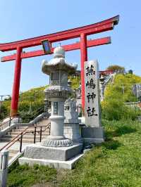 【青森×蕪島神社】ウミネコ3万から4万羽 空から運が降ってくる神社