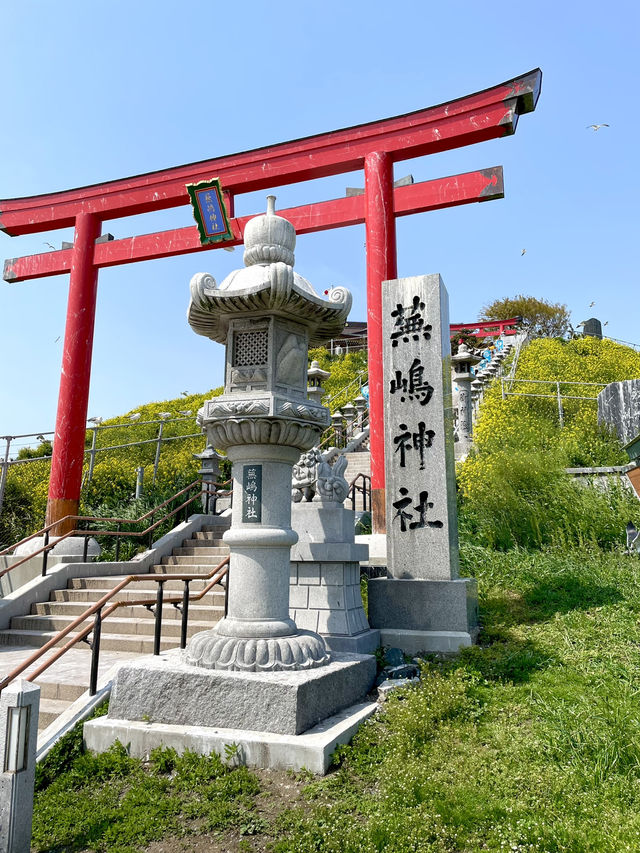 【青森×蕪島神社】ウミネコ3万から4万羽 空から運が降ってくる神社