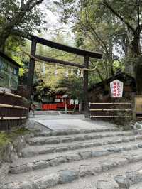 사랑❤️이 넘처나는 노노미야 신사⛩️ 연분을 맺어보세요! "Nonomiya Shrine"