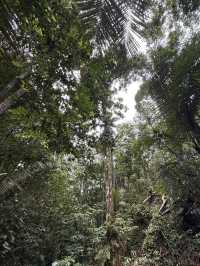 A Quiet Hike to the Blue Lake, Johor Bahru (Taman Awam BBKP)