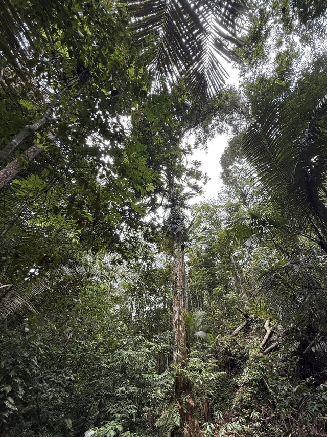 A Quiet Hike to the Blue Lake, Johor Bahru (Taman Awam BBKP)