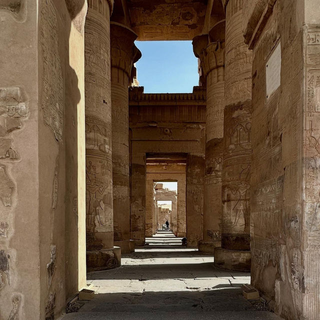 A Morning at Kom Ombo: Where Crocodiles and Falcons Reign