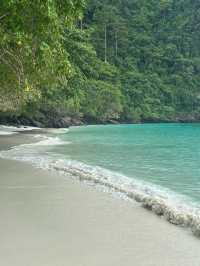 🌴🌊Phi Phi Islands – A Tropical Dream Come True🌊🌴