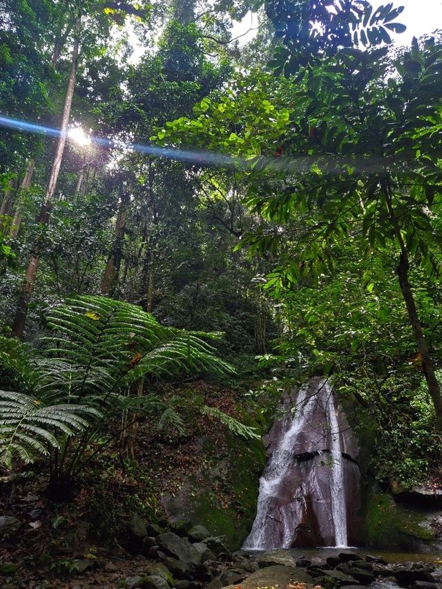 키나발루 산 폭포 : Kipungit Waterfall🇲🇾