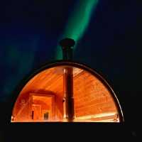 Chasing Aurora in Tromsø: Frozen Toes, Whale Snot, & the Night Sky’s Greatest Show ✨🌌