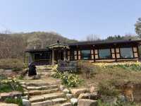 식당에 상주 하는 강아지와 뛰어놀며 백반을 먹을수 있는 가성비 맛집