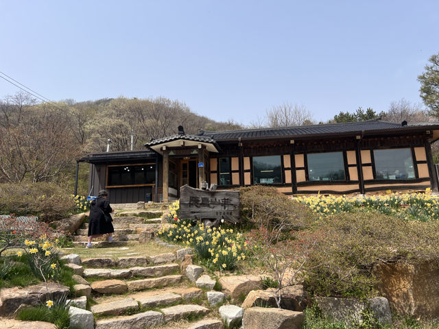 식당에 상주 하는 강아지와 뛰어놀며 백반을 먹을수 있는 가성비 맛집