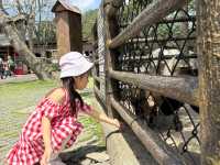 新竹關西 六福村主題遊樂園🎡從小玩到大還是很好玩～小小孩也能玩的設施一起來看！