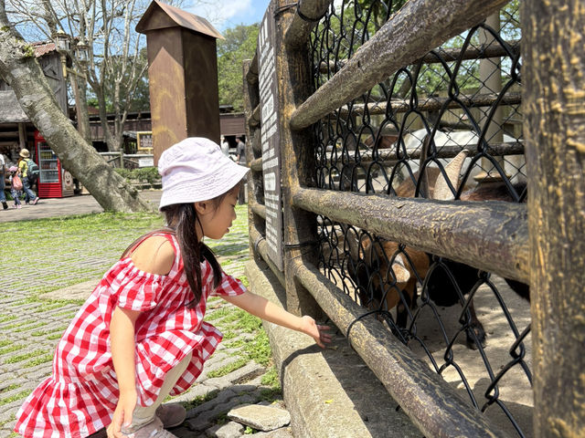 新竹關西 六福村主題遊樂園🎡從小玩到大還是很好玩～小小孩也能玩的設施一起來看！