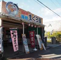 【静岡県】 日本一の富士山🗻