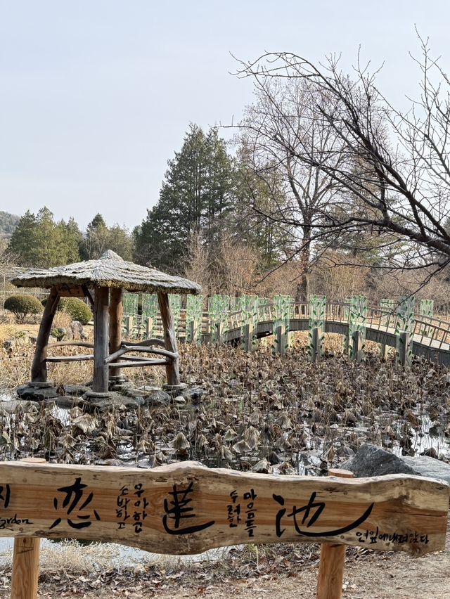 南怡島