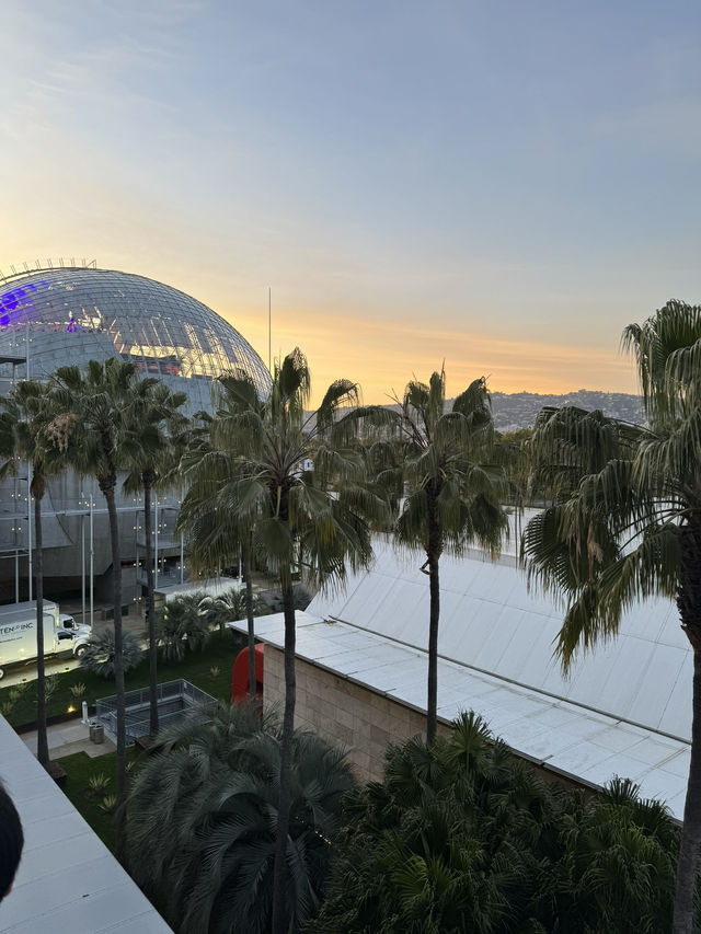 LA 여행 필수코스 “LACMA” 예술과 문화의 보물창고!
