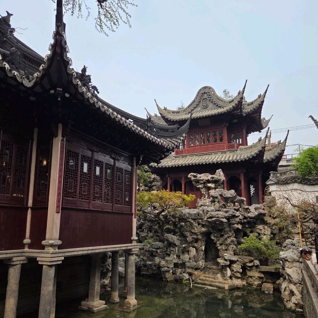 รีวิวสวนอี้หยวน (Yuyuan Garden) เซี่ยงไฮ้ 🌿🌸