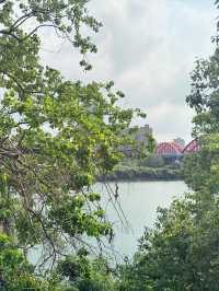 台北｜公館河岸｜悠閒的水岸風情