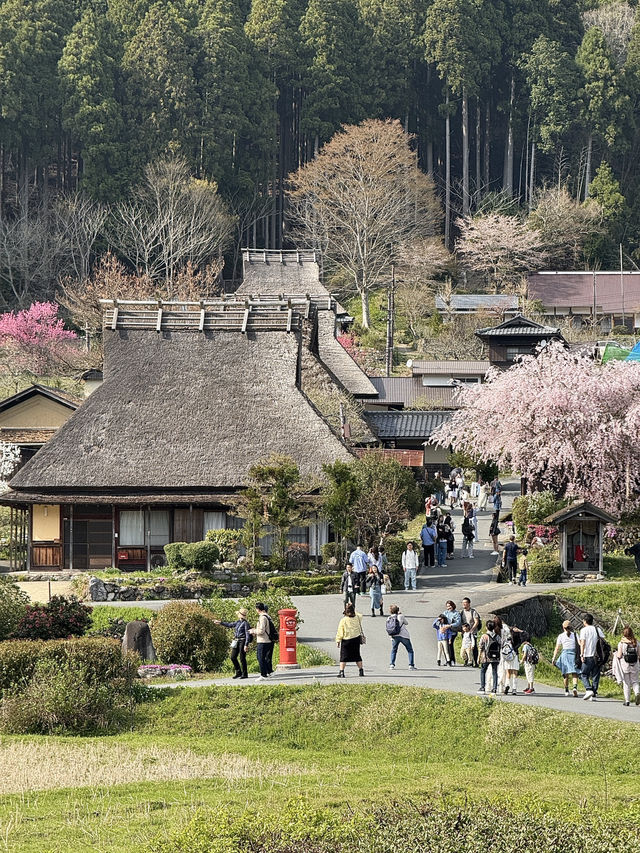 Hidden Gem of Kyoto ✨