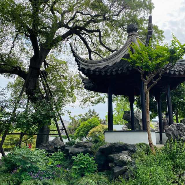 旭日公園•時光的琥珀