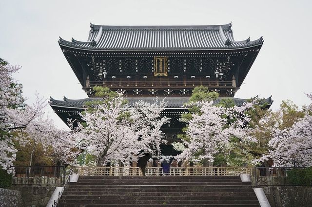 🌸 "Konkaikomyo-ji: Kyoto’s Hidden Temple with a Golden Surprise!" 🌸