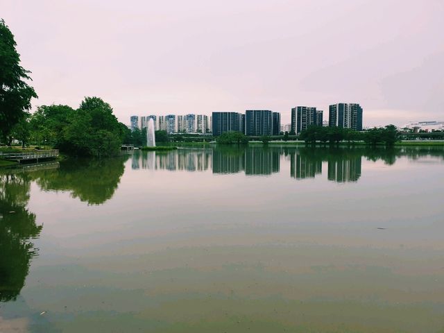 Jurong Lake Gardens: Singapore’s Hidden Green Gem!