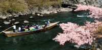 🚣♂️🌿 Hozugawa River Boat Ride: Kyoto’s Wildest (and Chillest) Adventure! 🌿🚣♂️