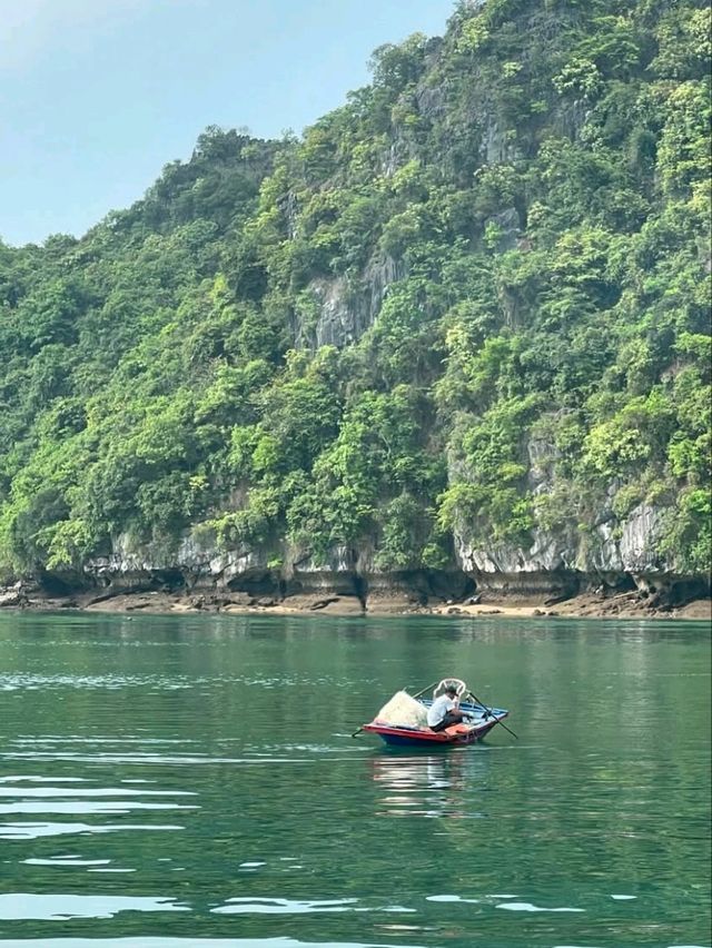 🛳️ Cruising Through Halong Bay with an Amazing Lunch Experience!