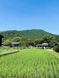 Summer in Shirakawago: Where Time Slows Down and Dreams Feel Real