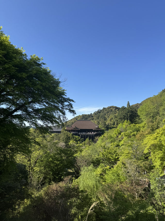 오사카 3박 4일 여행
