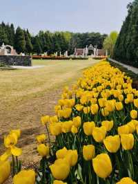A Blooming Scenery at Byukchoji Gardens