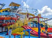 "Carnival Celebration: Where the Party Never Stops (And Neither Do the Buffet Plates)" 🎉🍗🚢