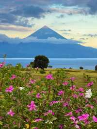 Discovering the Beauty of Mausui Savanna, Flores