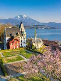 Zurich, Switzerland｜A Spring Stroll Beneath Sakura Streets