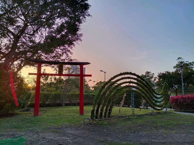 2025士林官邸花花特輯🌹🌷花都開好了🌸💐