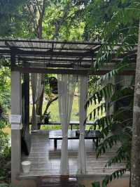 ที่พักที่ถูกต้องที่สุดด Rain Forest Resort 🌿🌲