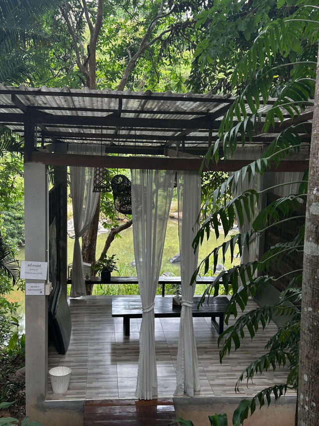 ที่พักที่ถูกต้องที่สุดด Rain Forest Resort 🌿🌲