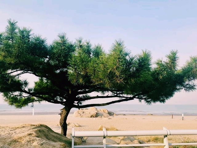 中國河北秦皇島著名景點：北戴河東海水浴場，適合打卡拍照📸