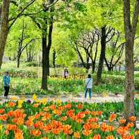 Seoul Forest (Seoul)