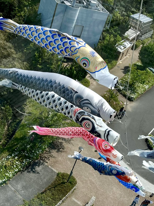 Spring Views from Goro Sky Tower