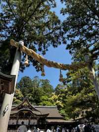 神様に“山そのもの”を祀るという、ちょっと異次元な神社🇯🇵✈️🌎