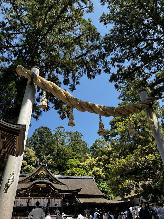 神様に“山そのもの”を祀るという、ちょっと異次元な神社🇯🇵✈️🌎