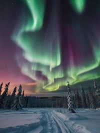 The Ultimate Arctic Wonderland