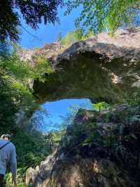 Secret Cave Vibes & Forest Feels