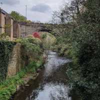 Stroll Through Edinburgh’s Natural Charm 
