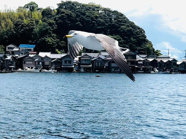 往伊根灣の海上列車 赤松號